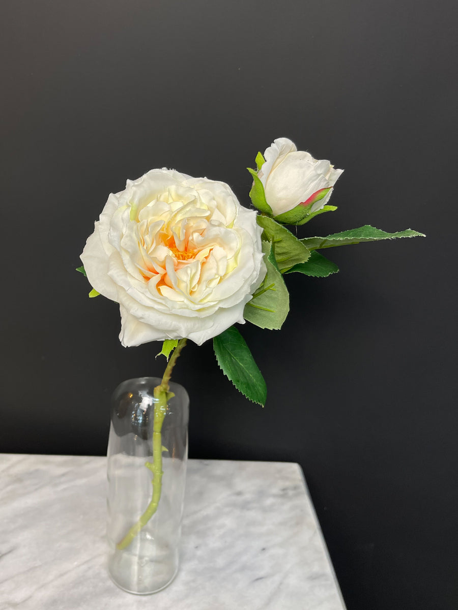 CABBAGE ROSE PICK CREAM/IVORY – BLEVIOR