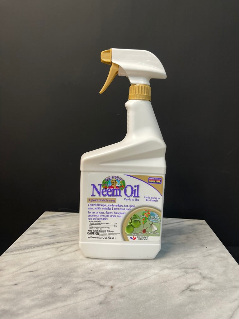 neem oil for plants spider mites Neem Oil – BLEVIOR